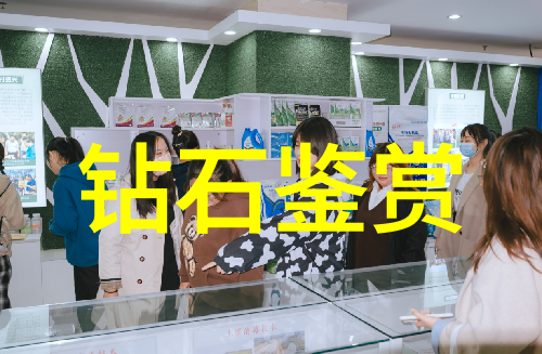 如何将勘查技术与工程结合提高资源发现效率