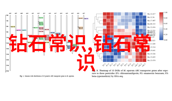 从零到英雄如何在车间工艺流程图中画出自己的工艺奇迹