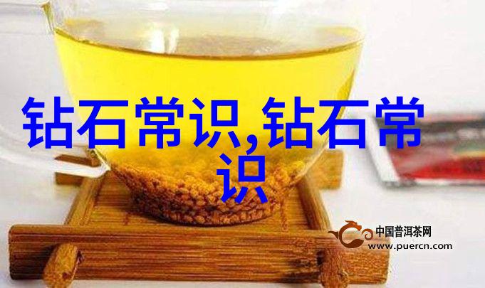 音乐舞蹈与戏剧中国艺术形式的多样性