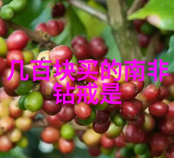 国家珠宝鉴定师如何考取探秘这一门高端职业的学习之路