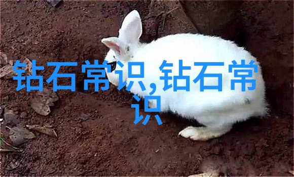 室内装潢设计专业-空间再现室内装潢设计的艺术与科技融合