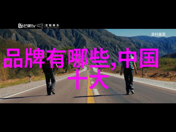 全球足球强队分析剖析世界杯前十名国家的竞技优势与战略布局