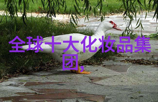 古籍中的智者探索柳公权的哲学思想