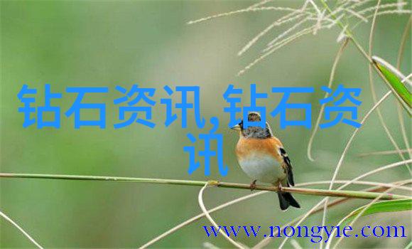 民间故事我爸的那把神奇弓箭