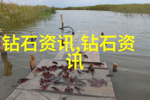 灵活调整养护解决常见问题以促进翡翠健康生长