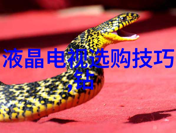 冷教授的好大坐着巨大吃饭视频-巨食奇观冷教授的壮举在屏幕上