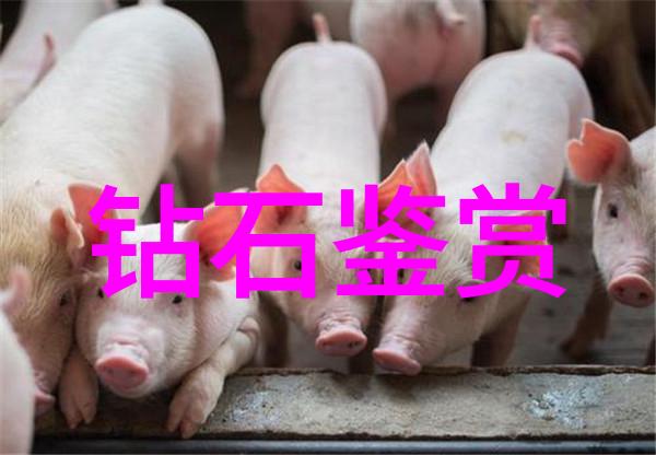 品鉴和鉴赏从茶叶到艺术品的独特视角
