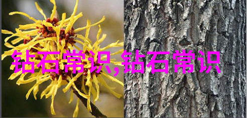 老卫的河中之谜船影摇曳中心的秘密何在