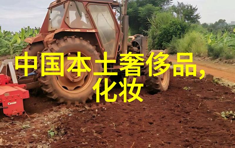 中国的传统技艺匠心独运的艺术品质