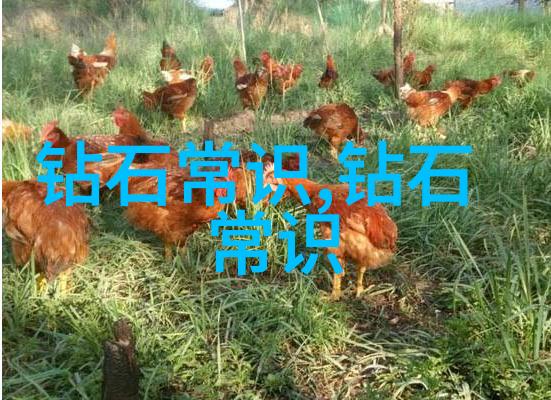 工艺过程的概念-精细工艺流程从原材料到终端产品的转化