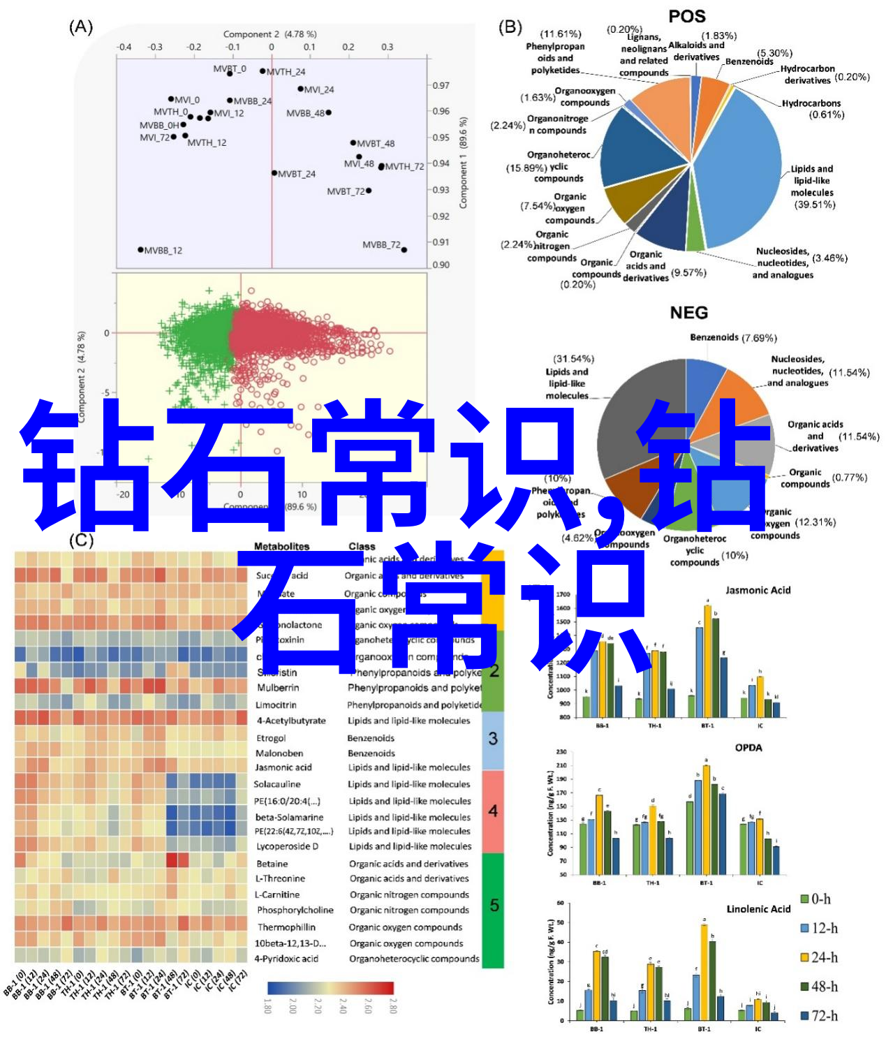 从泥土到瑰宝陶瓷手工技艺探秘