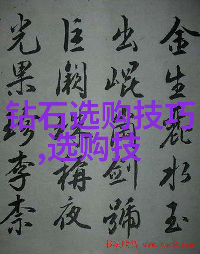 玫瑰故事我和那朵被遗忘的玫瑰之间的秘密交响曲