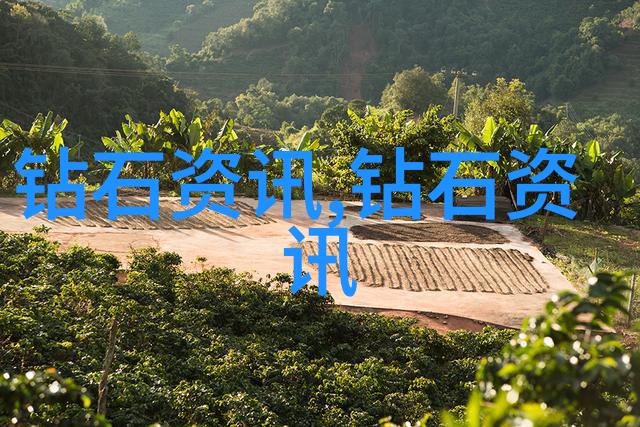 和田玉之谜揭秘和田玉证书鉴定官网