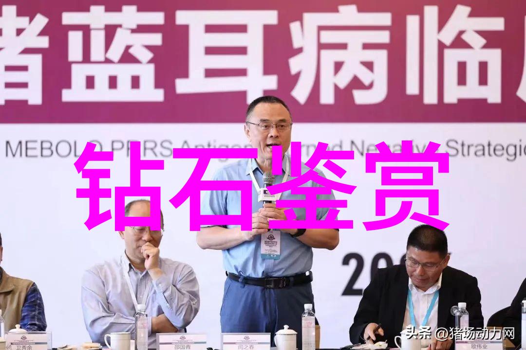 北京宝石鉴定寻找真假的艺术与科技