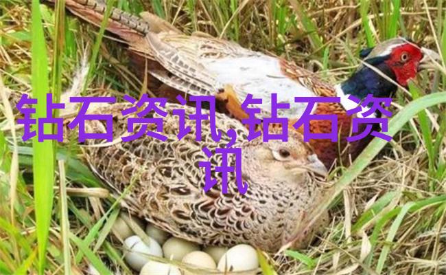 医药新纪元突破性治疗方案的诞生与应用