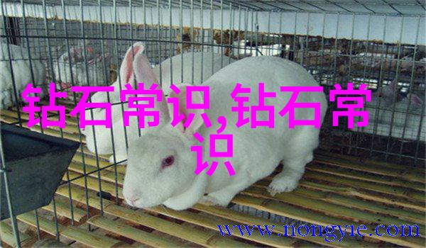 我来告诉你工艺流程与工序流程的区别一窥生产线的秘密