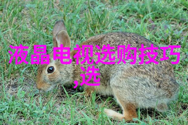 在数字时代为什么我们仍需珍视手工艺品的手感体验