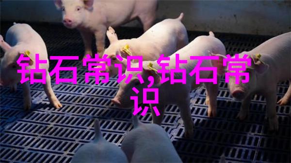 工作伦理中的高效率与工作生活平衡在两种文化中的表现如何不同