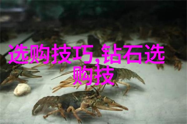 梦境与现实的交汇睡前故事在现代教育中的应用研究