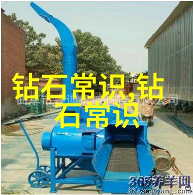 中国传统文化的优美段落 - 龙舞凤歌探索中国传统文化的艺术魅力