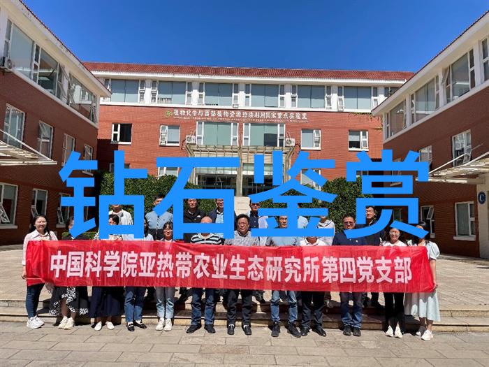全天下为我火葬场-永恒的焚烧探索末路与新生的象征