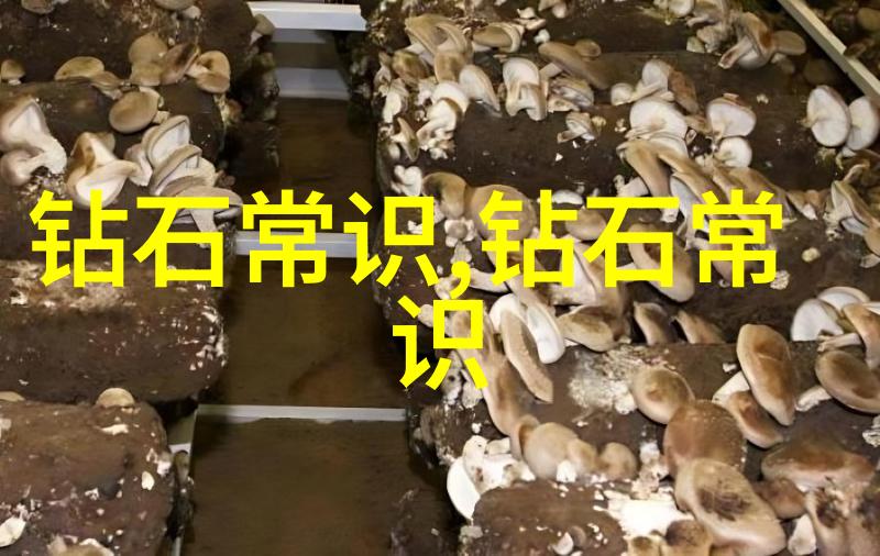 车間現場管理技巧與車間生產過程規劃方法