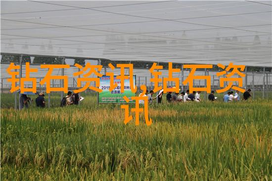 工艺品手工-精致的手工艺品传承文化的艺术之光
