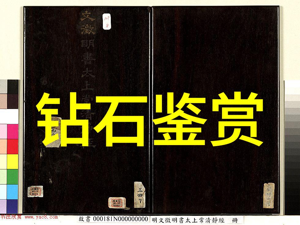 工作我是如何在职场上不懈奋斗的