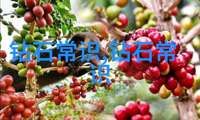 中西方文化差异课题研究报告我是如何发现自己的生活方式与世界其他角落的人不同