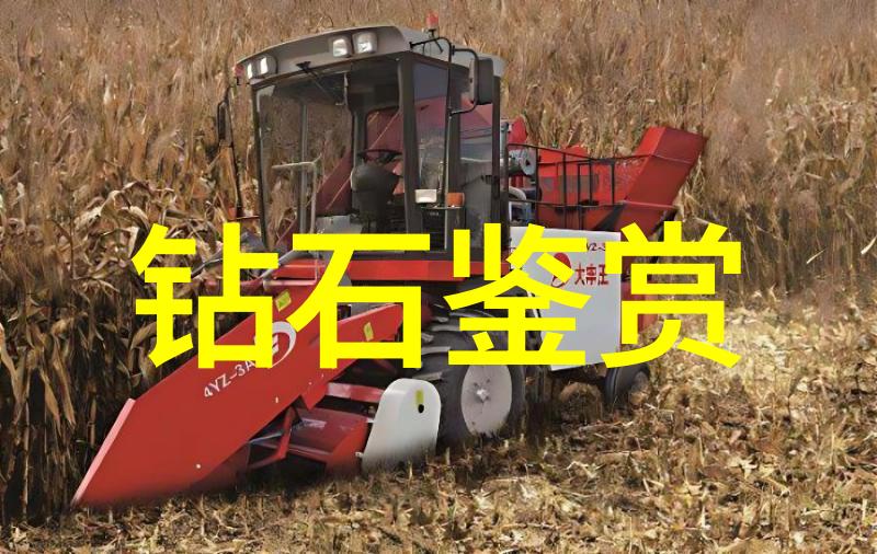 姬小满的纯真