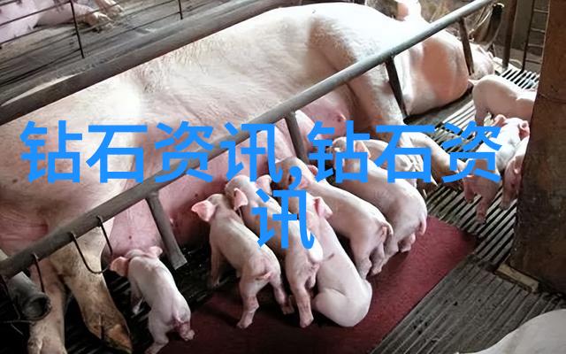 御者之妻我家的秘密大师她如何用一双巧手让每顿饭都变成味蕾上的盛宴