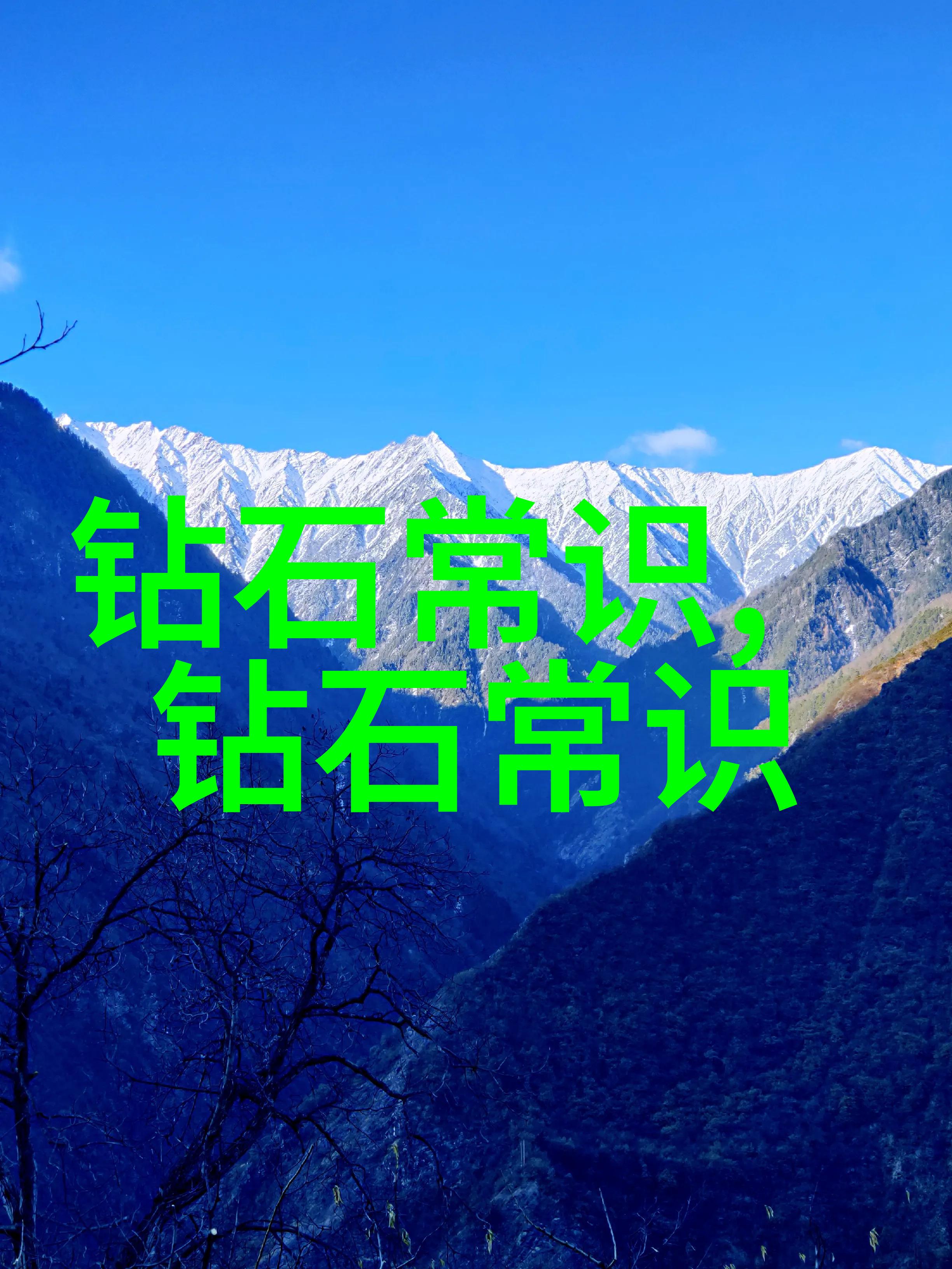 职业生涯的征程探索工作与生活的平衡