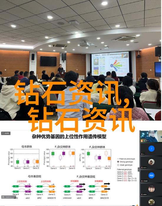 黑白交织的传奇