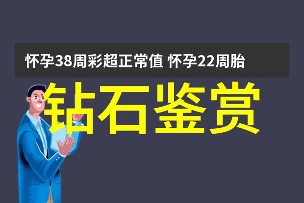 作品展示与评估标准提升工艺品展示能力