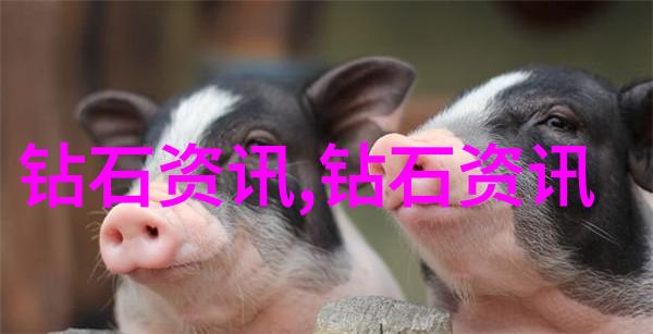 中国地质大学珠宝鉴定专业探索古今之谜守护珍贵财富