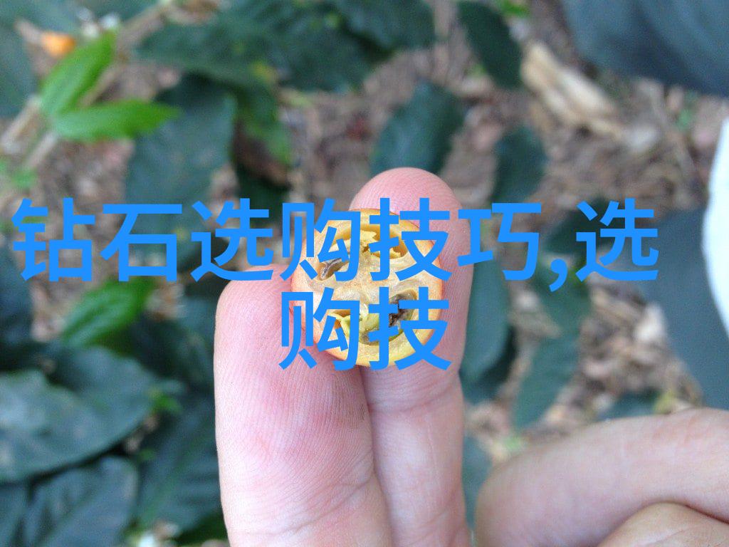 东西方文化交融中的异同探究