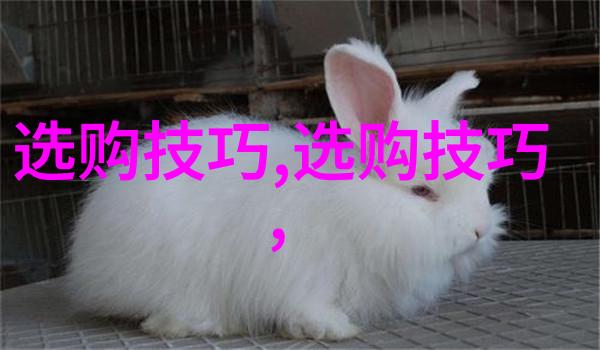 中国珠宝玉石鉴定专家专业评估古典珠宝与稀有玉石的艺术与科学