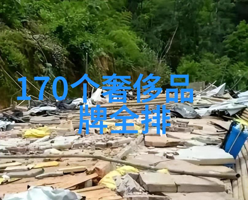 幽冥政途亡灵持政的异界纪事