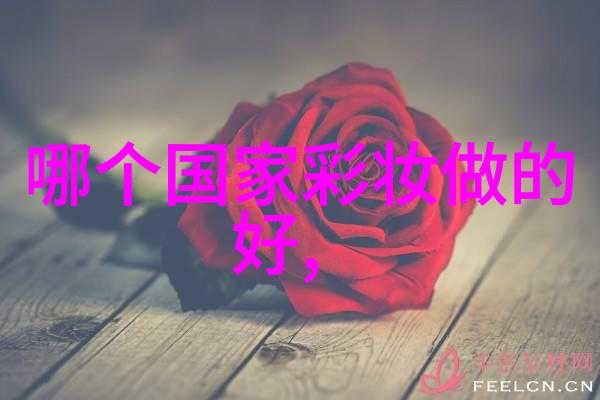 新闻专业-深度解析如何在数字时代维护高质量新闻内容的传播