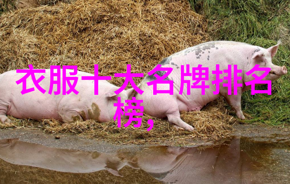 中国名城之冠揭秘十大魅力都市