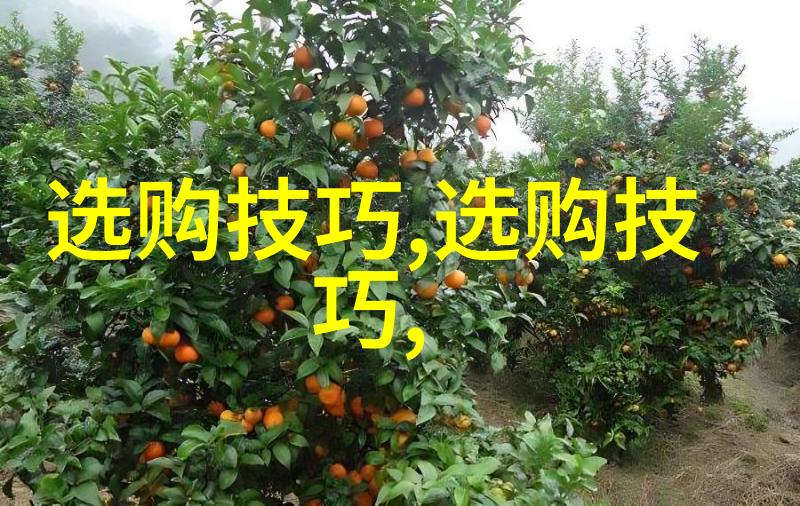 文化局繁星之下寂静的舞台