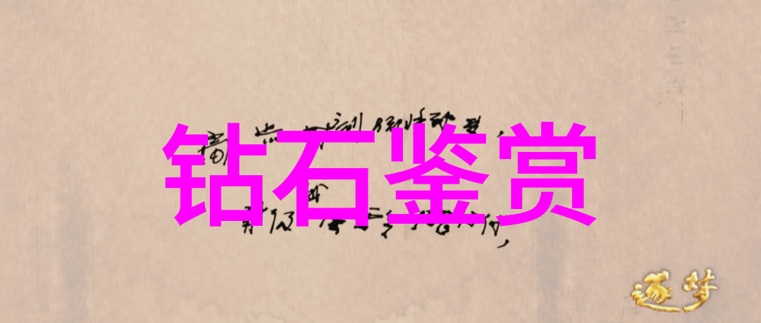 宠物医疗技术我是怎么用科技治愈小宝贝的
