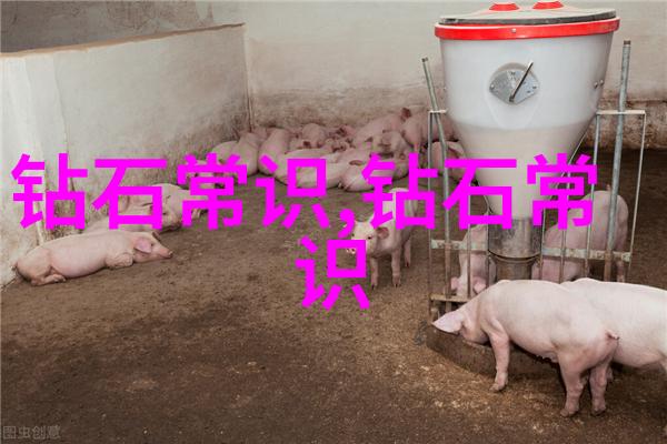 在国际市场上工程造价专业的标准化对中国有何启示