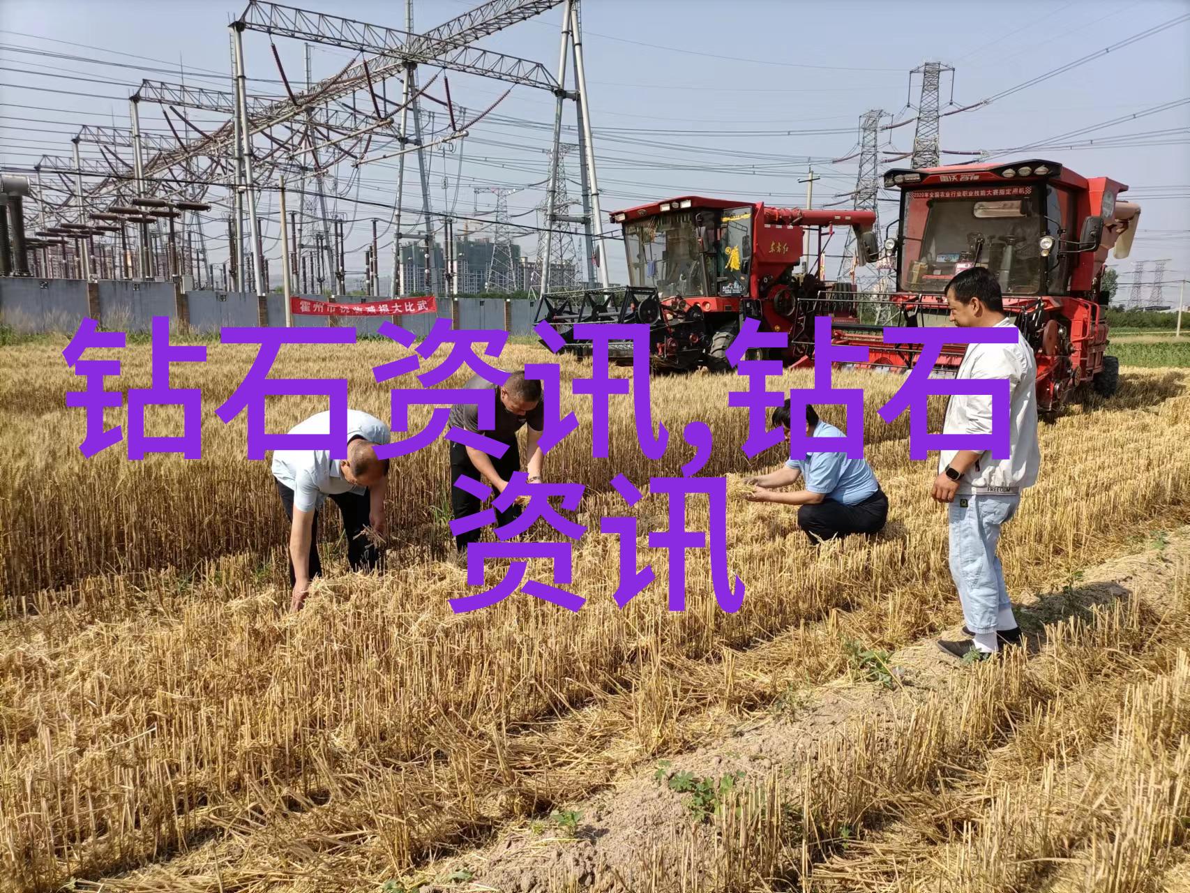 珠饰搭配大师class如何根据脸型选择适合的首饰