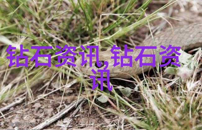 中华文化的四大精髓传统与现代的融合之路