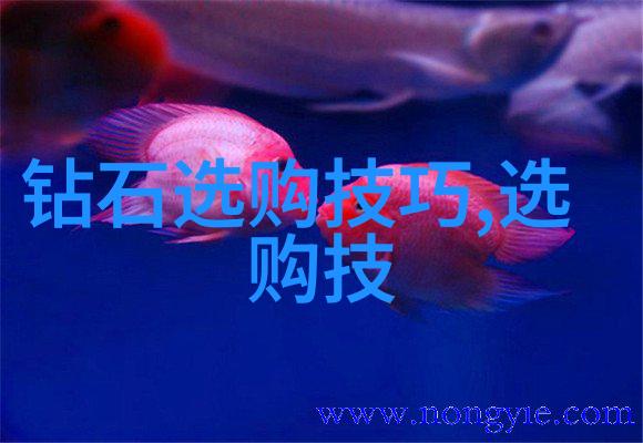 电影之匠揭秘影视世界的指挥者