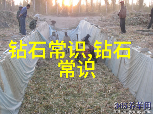 一辈子不失业的手艺传承技艺的坚持与成功