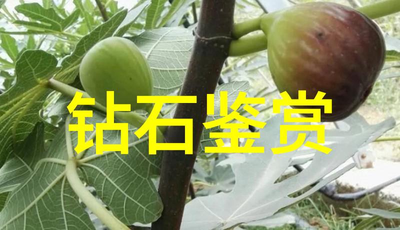 主题我要带你去的那个超级有趣的地方是