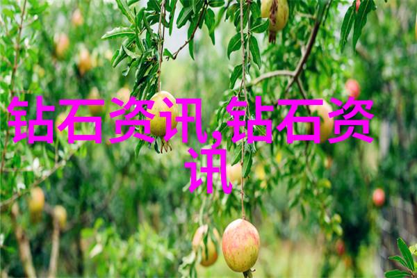 广播电台内参记一位毕业生的职业生涯回顾