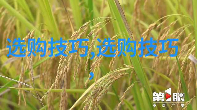 探秘璀璨宝石揭秘全球最珍贵的十颗钻石